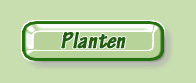 Plants     Plantes     Pflanzen